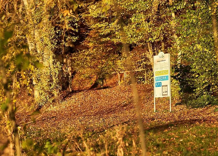 Eifelzeit Rieden (Mayen-Koblenz)